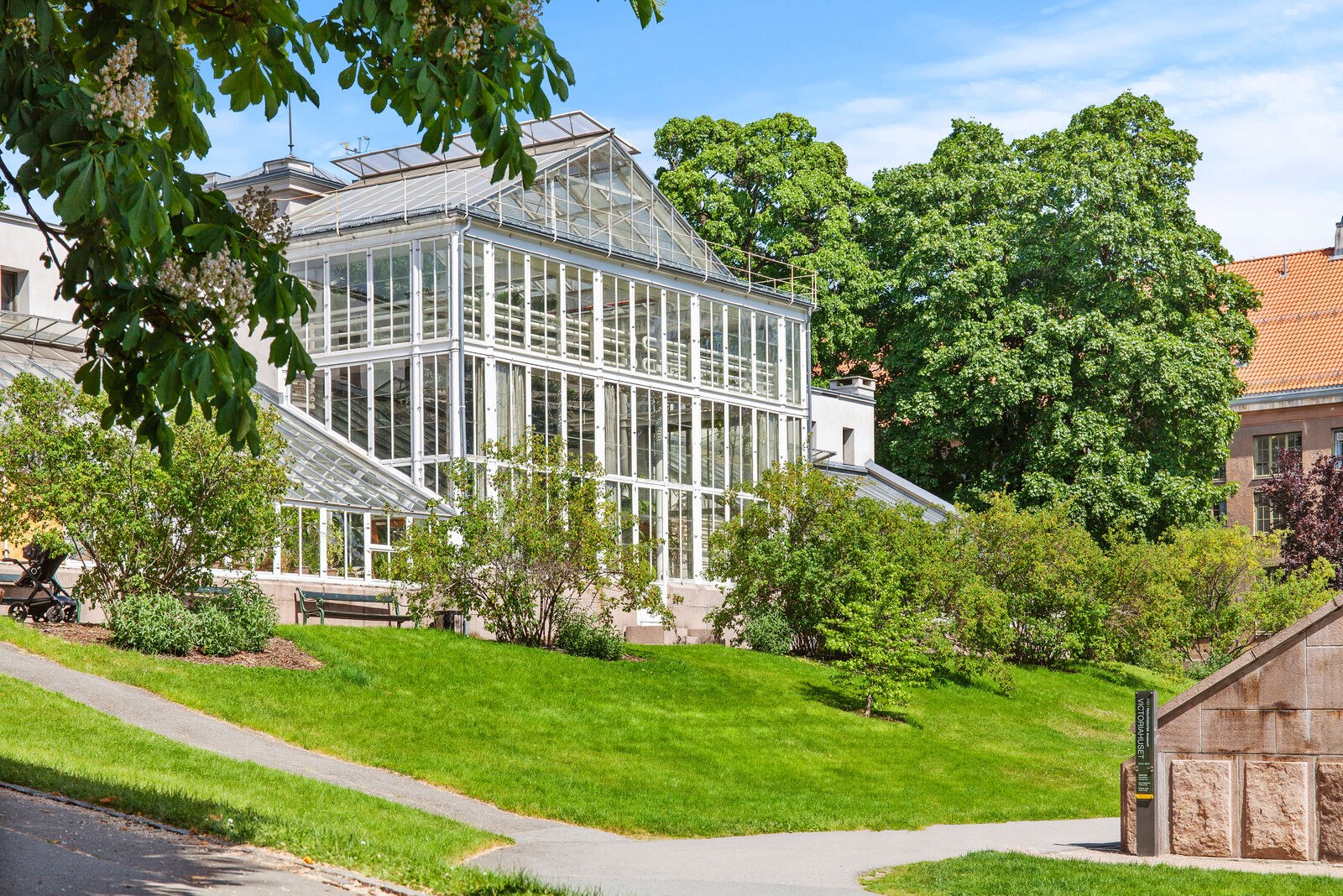 Grønt parkområde med veksthus, fra boligens bildemappe